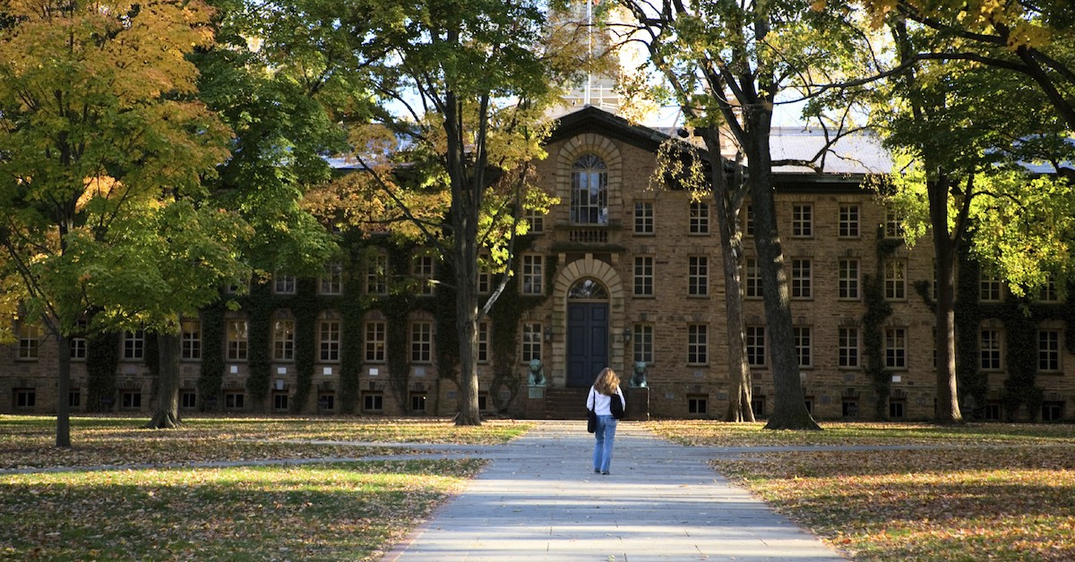 College essay application review service princeton