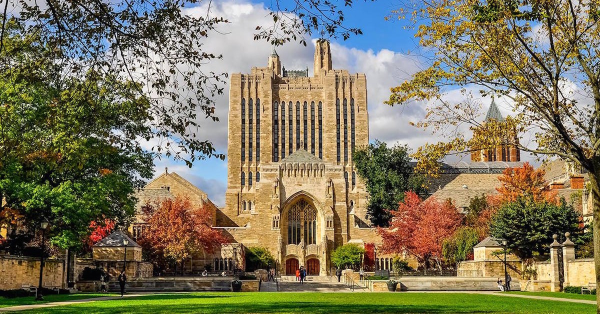 College admission essay online yale
