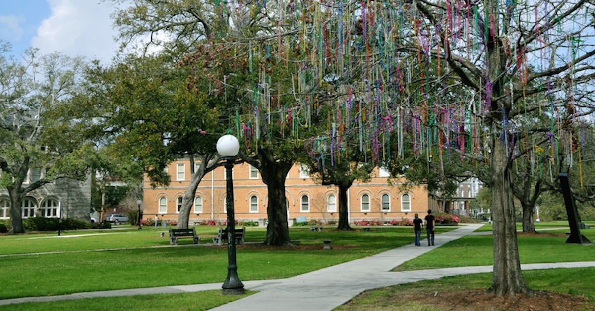 Tulane essay