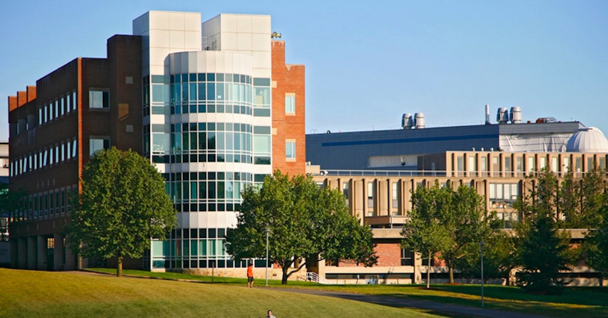 brandeis application essays brandeis application essays