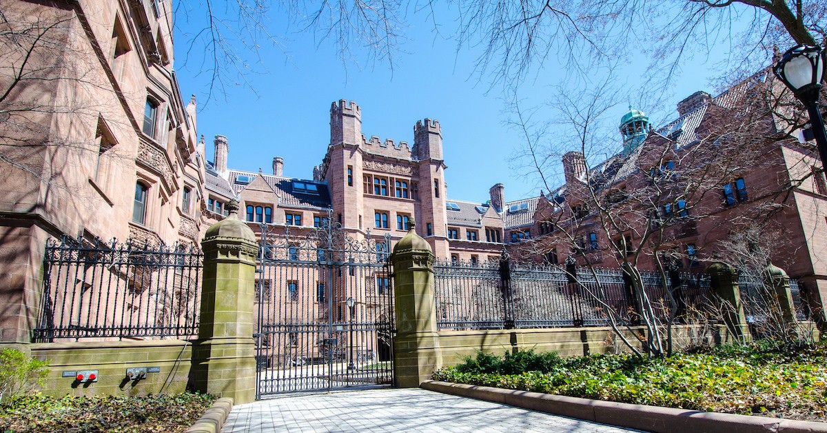 yale college essay Undergraduate study at yale, we view college as a time for students to explore, exercise curiosity, and discover new interests and abilities. yale college essay Undergraduate study at yale, we view college as a time for students to explore, exercise curiosity, and discover new interests and abilities.