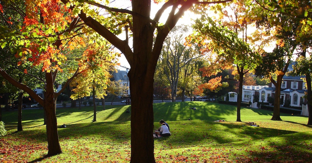 tufts university supplement essays This year's application to tufts university asks potential students to admissions lee coffin announced the revamped essay section in a blog. tufts university supplement essays This year's application to tufts university asks potential students to admissions lee coffin announced the revamped essay section in a blog.