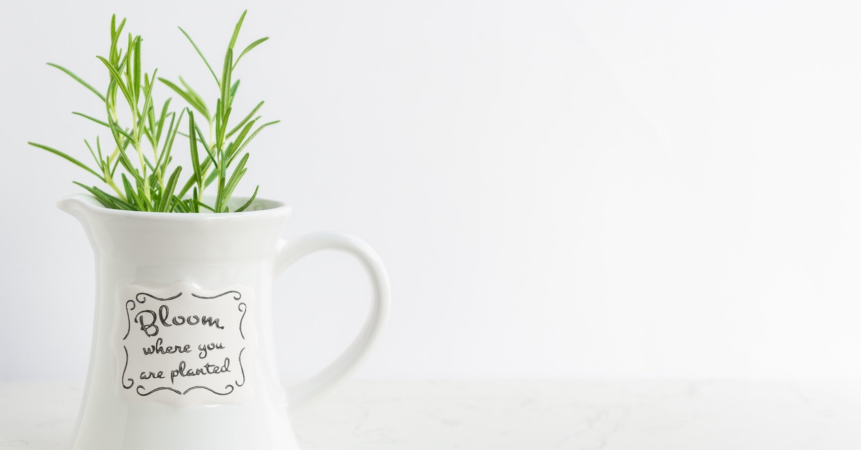 Common App Writing Prompt #5 (2018-2019): Personal Growth