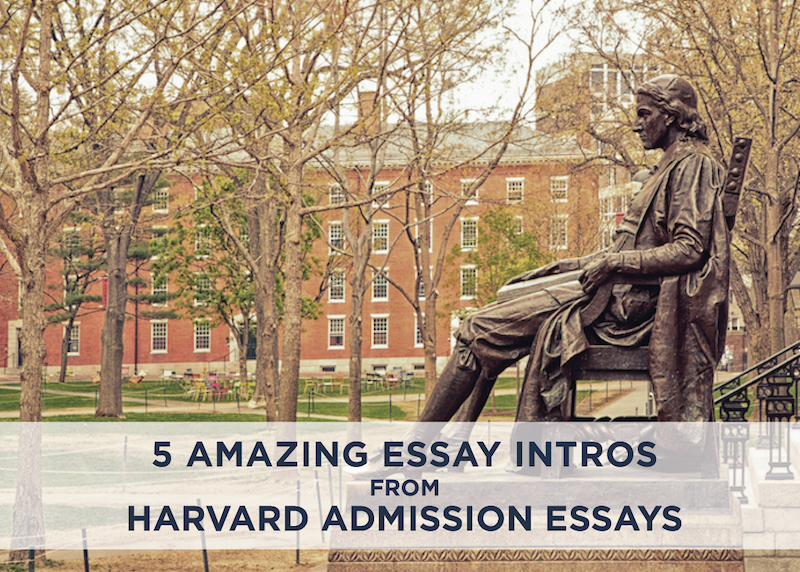 College admissions essay for harvard