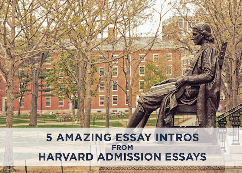 Harvard admission essays that worked