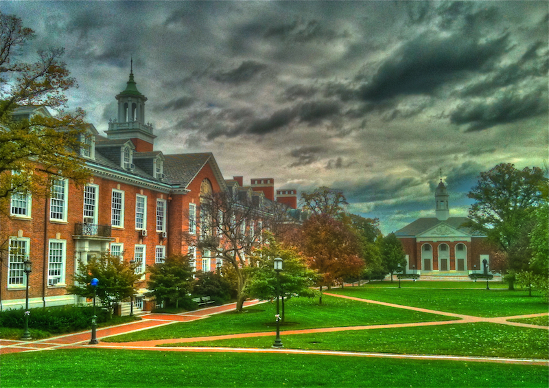Best college admission essays johns hopkins