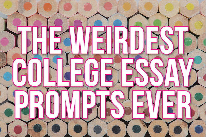 supplemental essays