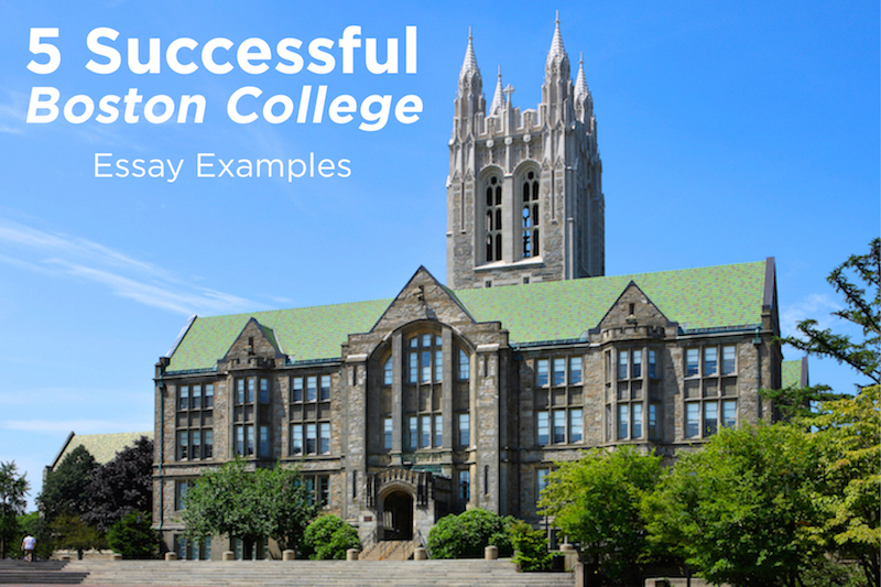 boston college conversation partner essay