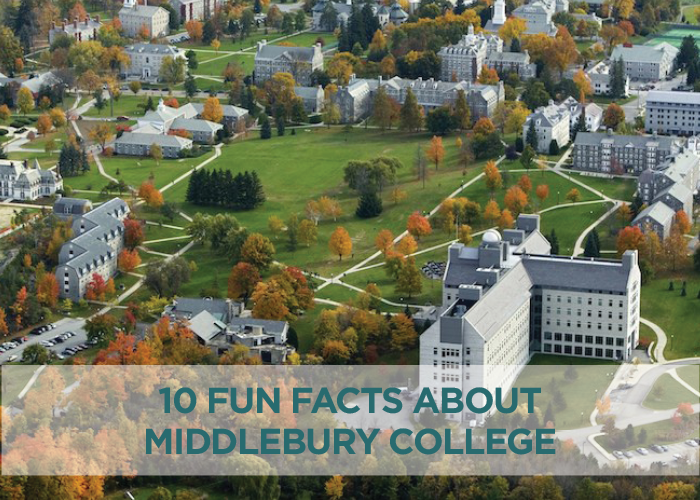 middlebury essay middlebury essay