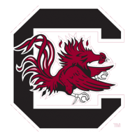 University of South Carolina (Columbia, SC)