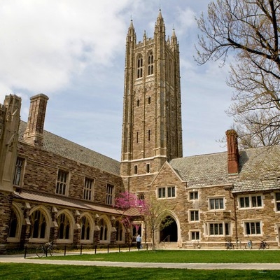 Princeton university admissions essay