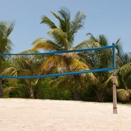 VolleyballGirl